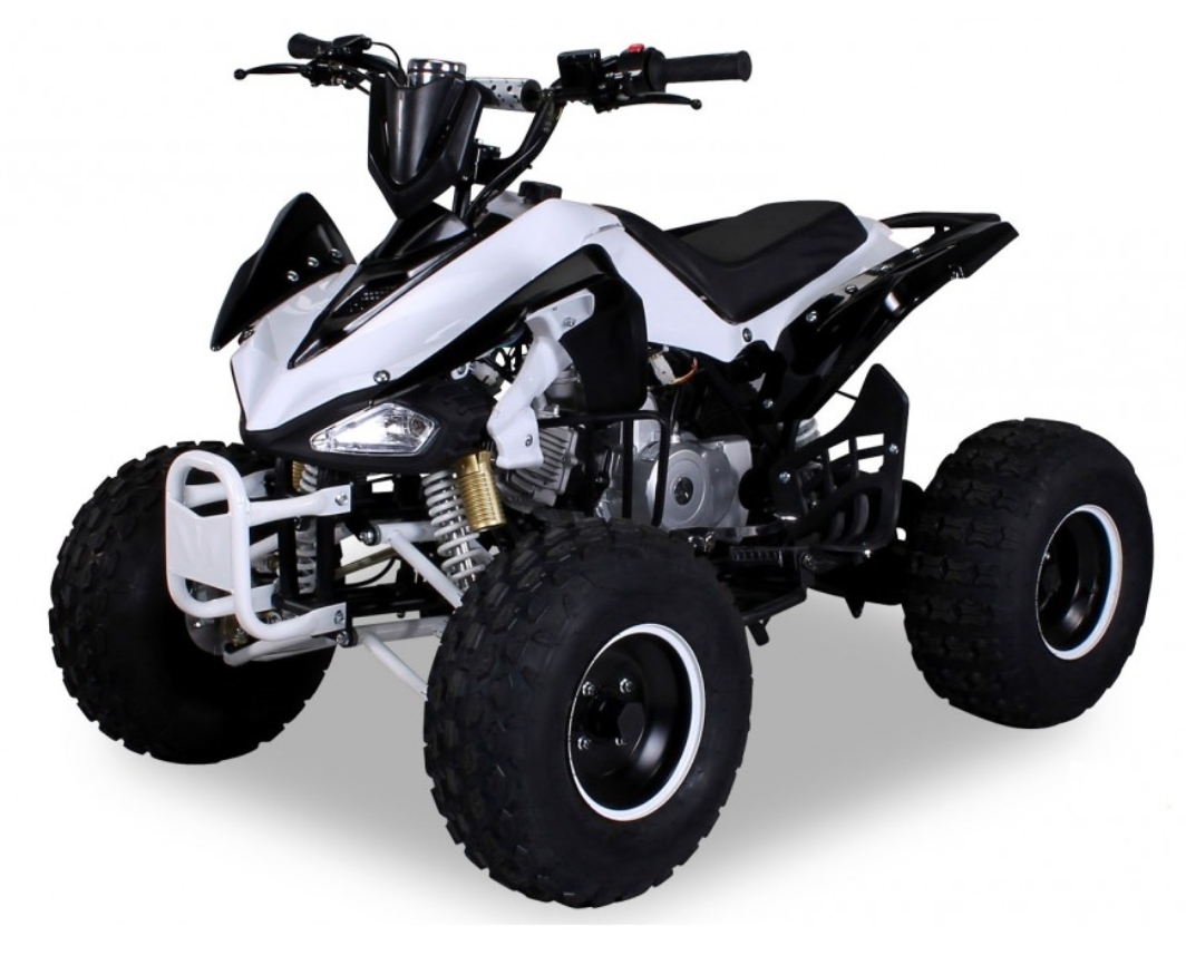 Quad 125cc semi automatique Panthera 8" noir LesTendances.fr