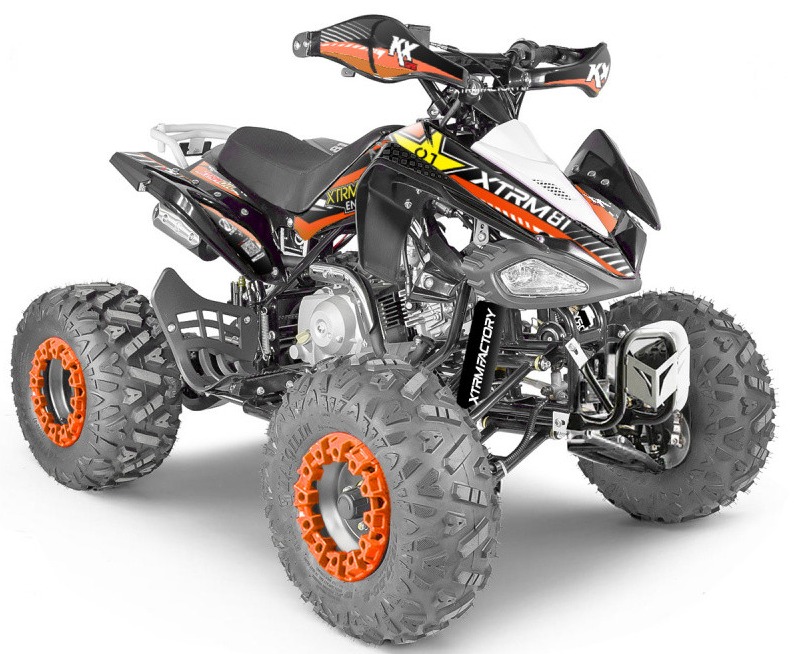 Quad Enfant BISON 125 Cm3 – 125 Cm³ – Moteur 4 Temps – Pour Enfants à Partir De 12 Ans